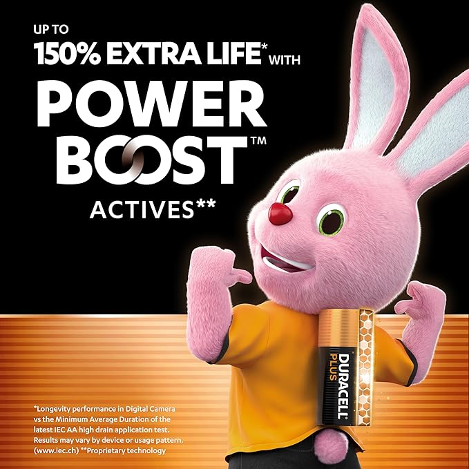 Duracell Plus AA Batteries (12 Pack)